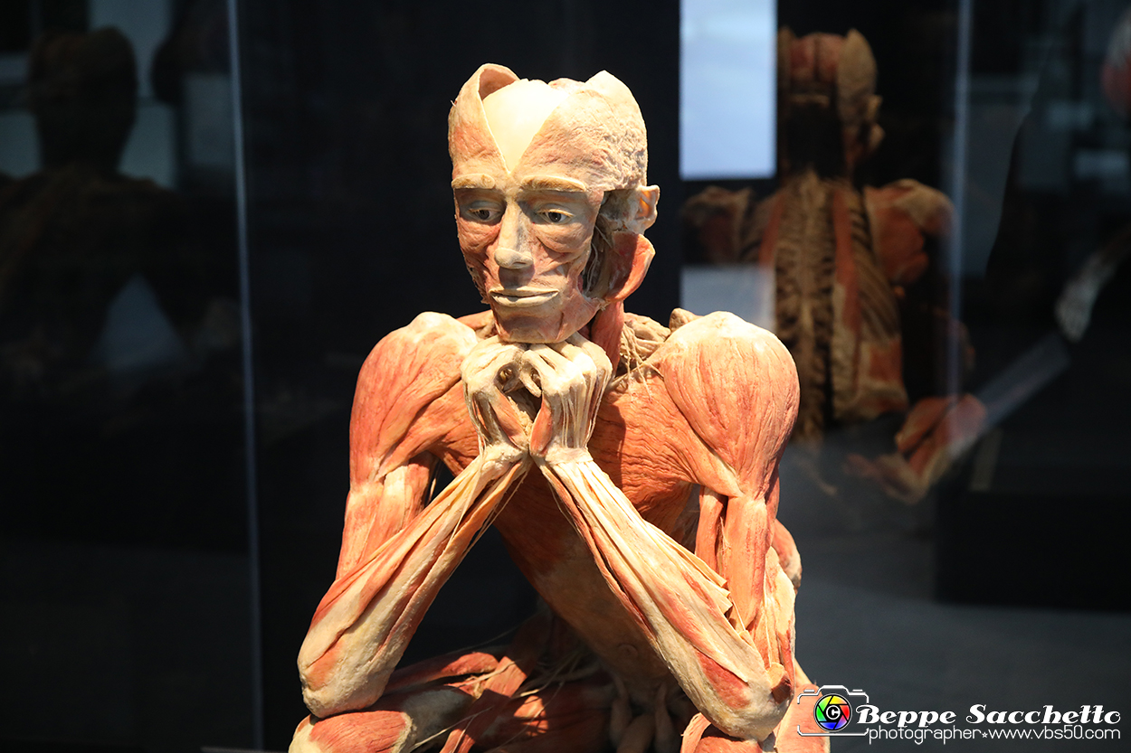 VBS_2969 - Mostra Body Worlds.jpg